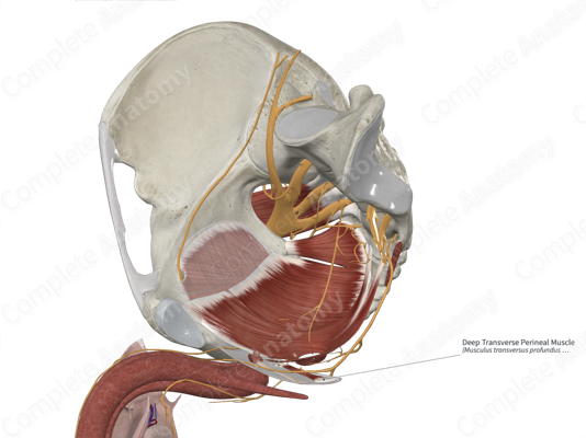 Qinni namlash usullari