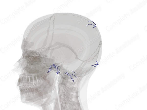 Emissary Veins
