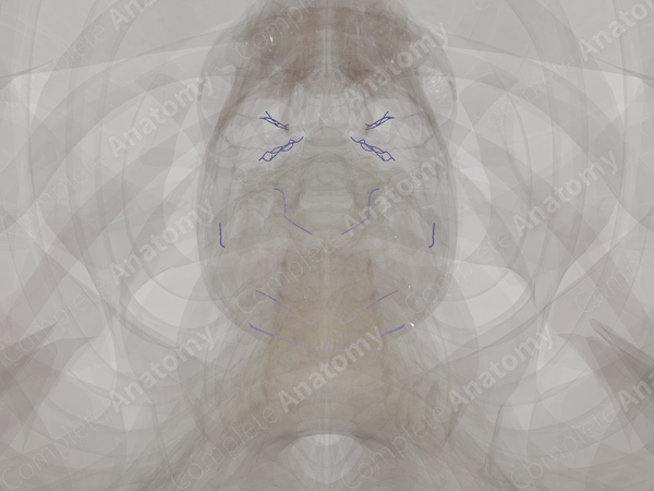 Emissary Veins