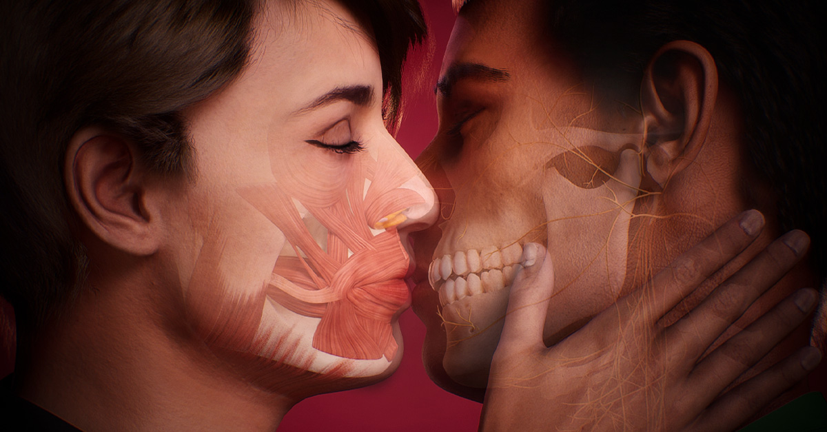 Discover the anatomy of a kiss