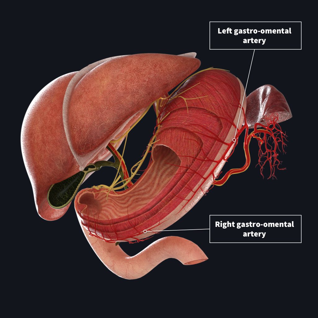 lesser curvature of stomach