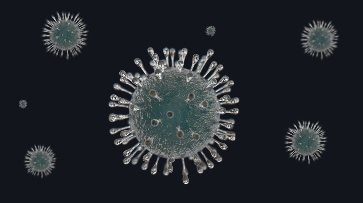 How viruses spread across the body