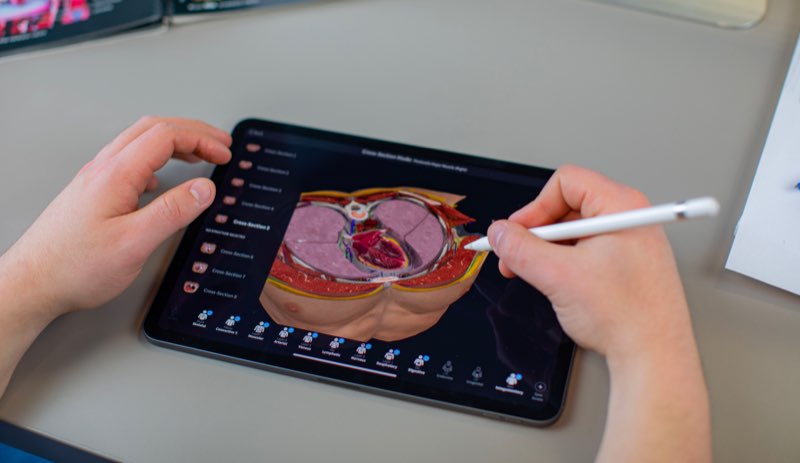 Cross-Sections: The new way to learn anatomy in context