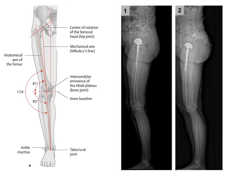 Together we created the most advanced 3D female anatomy