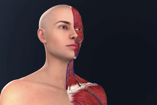 Complete Anatomy’s female model saying hello in English, Spanish, Chinese, French and German