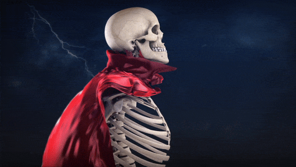 3 creepy anatomy myths debunked ?  Halloween Special