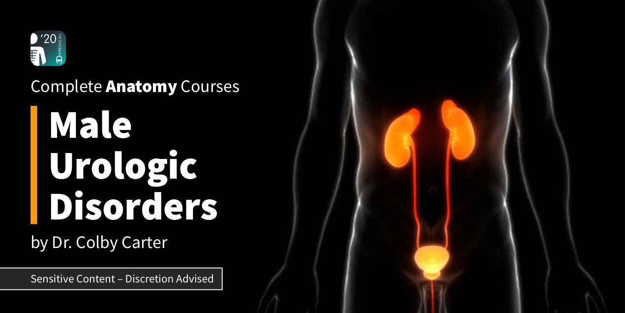 NEW: Male Urologic Disorders