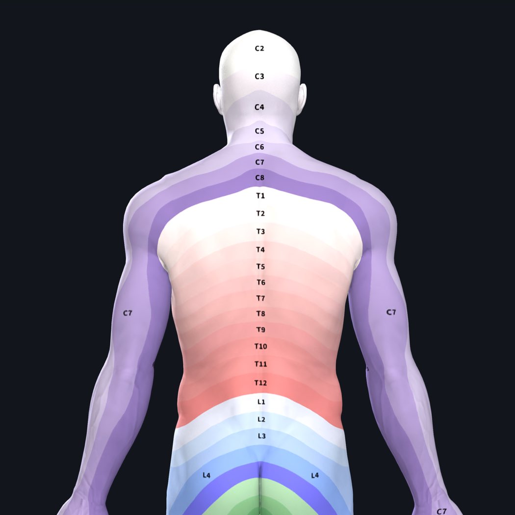 Sense of Touch Explained | Anatomy Snippets