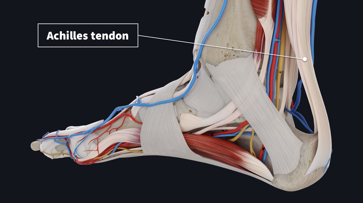 Common injuries to the tendons