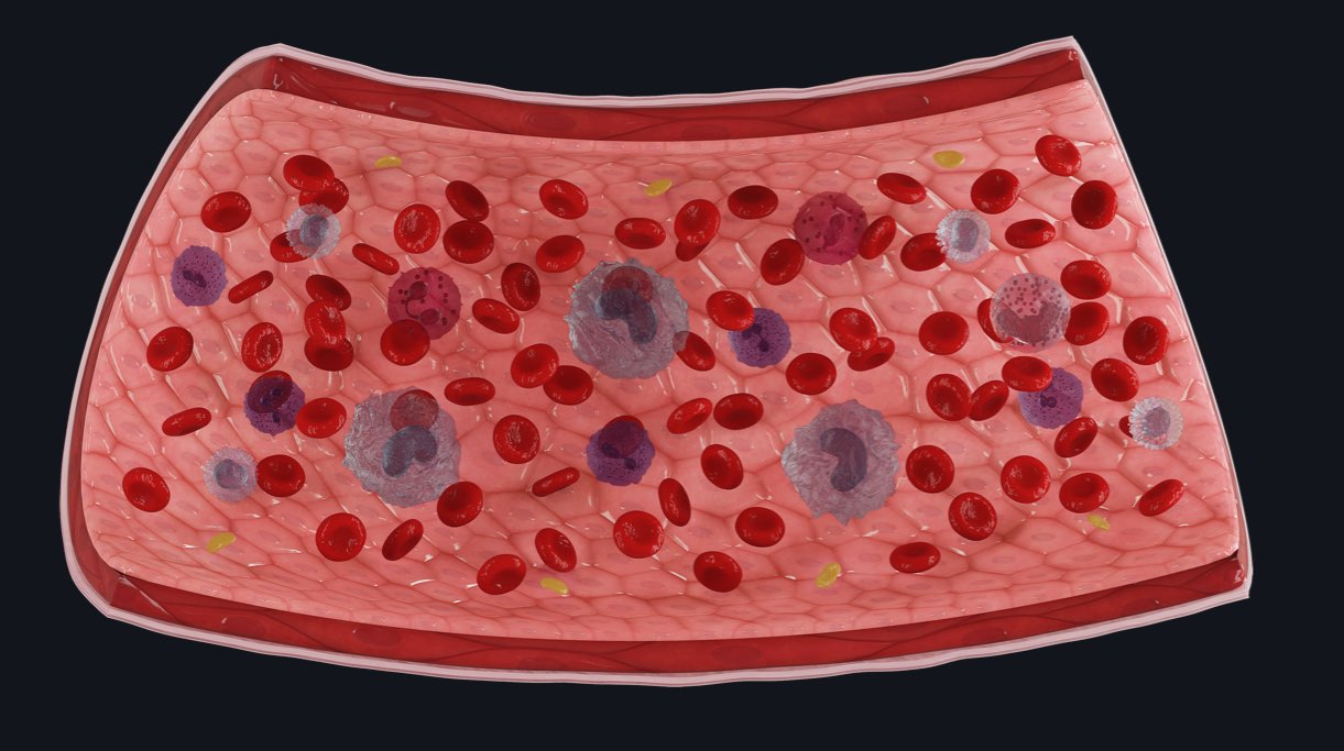 wound healing diagram: benefit of calendula flower extract