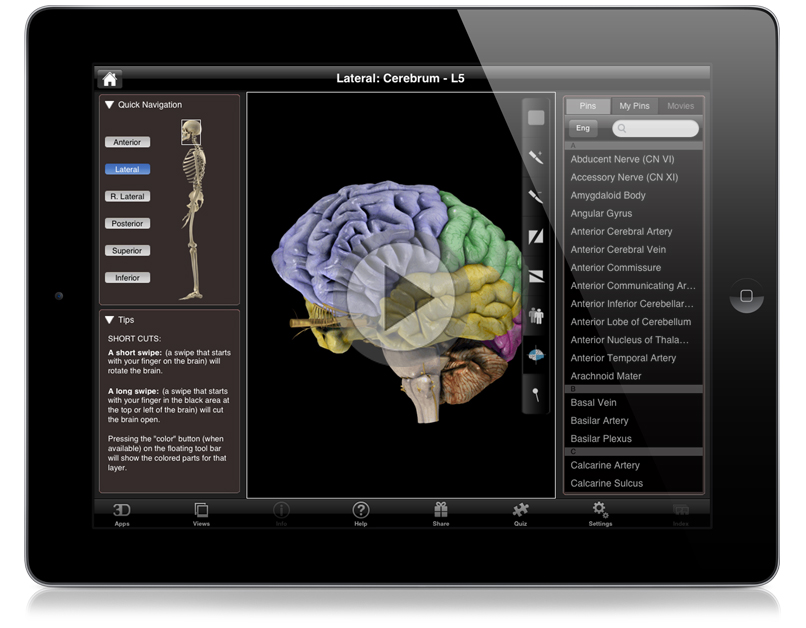 3d brain anatomy software free download information technology for managers 2nd edition pdf free download