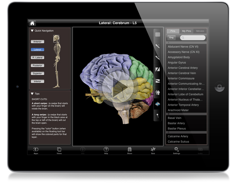 3d brain app science netlinks