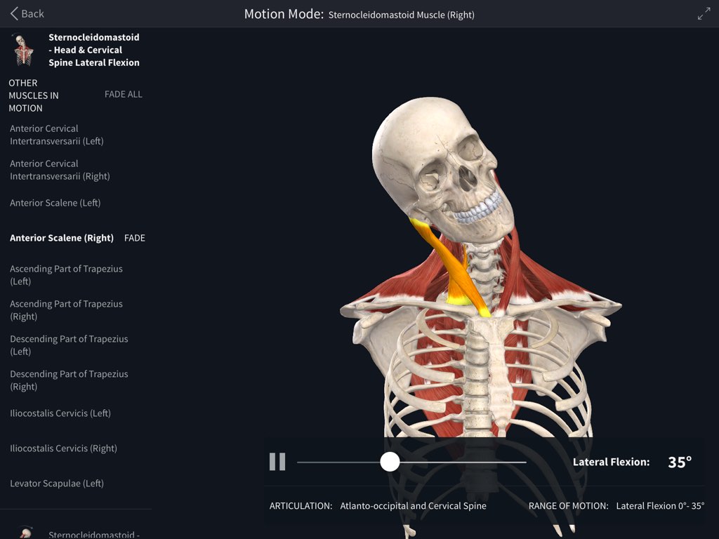 Muscle Motion | Complete Anatomy