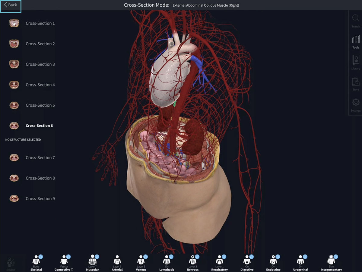 Cross Sections Complete Anatomy