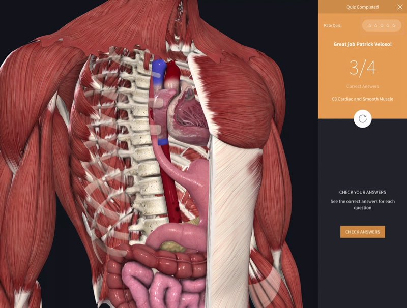 Muscle Anatomy Quiz