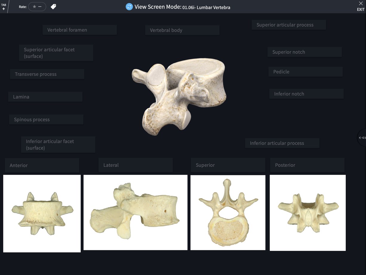 Cadaveric Lab Skeletal And Muscular Systems Complete Anatomy