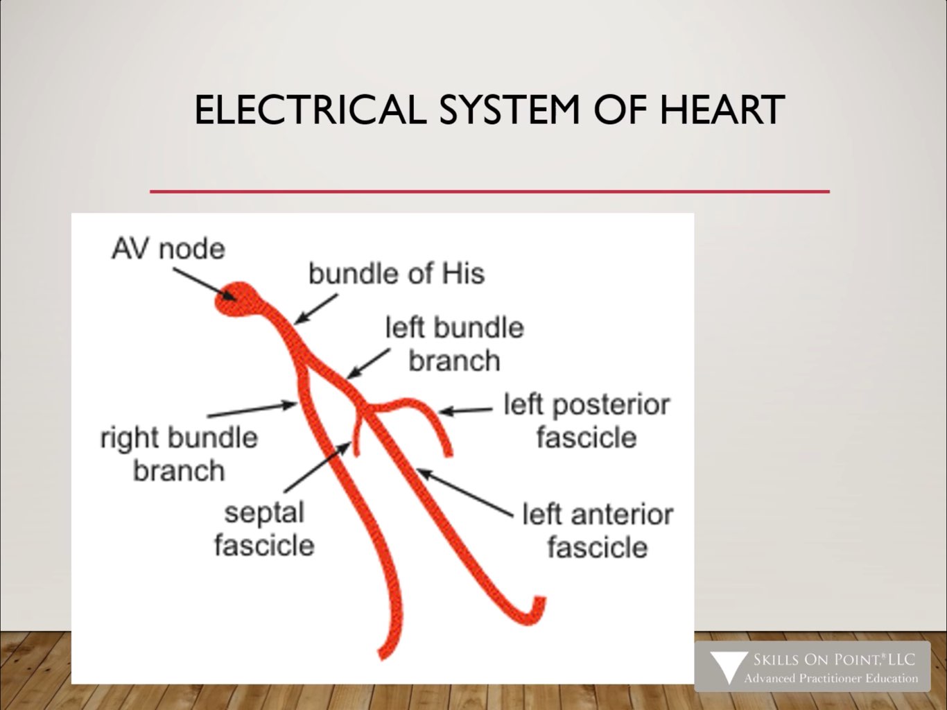 Basic 12 Lead Ekg Interpretation Complete Anatomy 