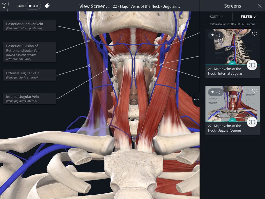 3d4medical app anatomy