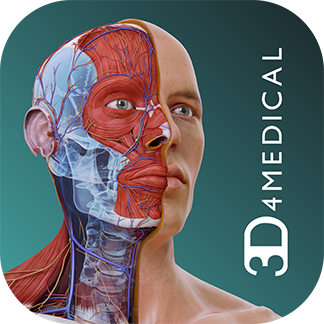 Complete anatomy for windows 10