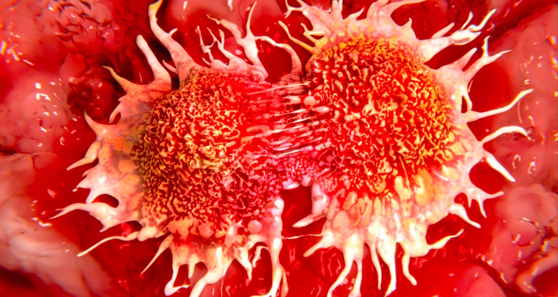 What happens to the cells during cancer
