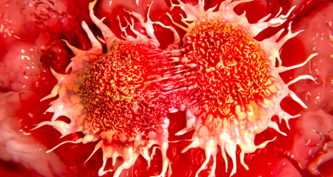 what-happens-to-the-cells-during-cancer-complete-anatomy