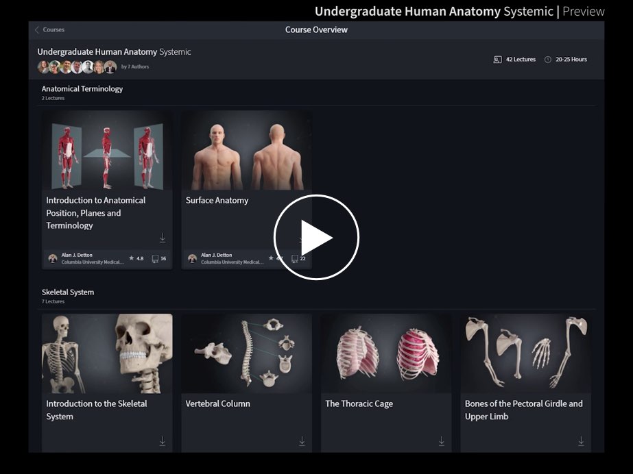 Undergraduate Human Anatomy: Systemic