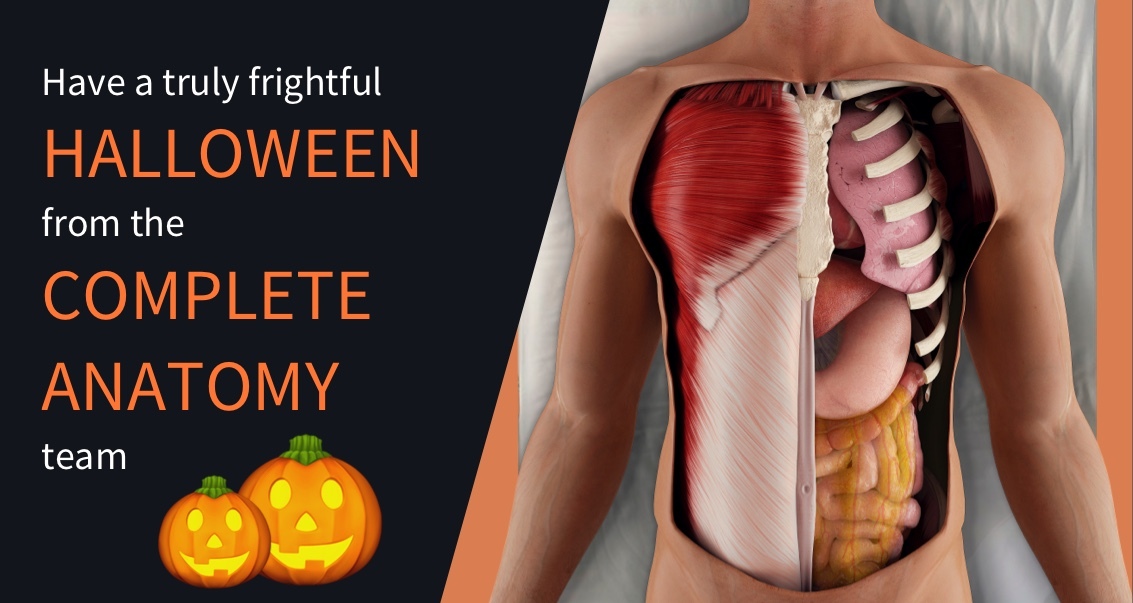 Trick or Treat from the team at Complete Anatomy!