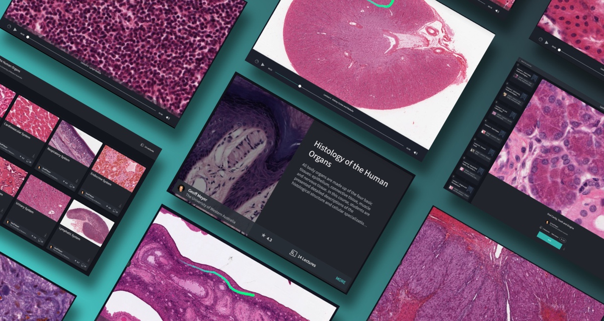 histology slides website