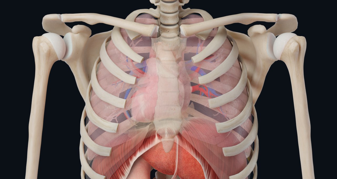 The mysterious condition known as situs inversus