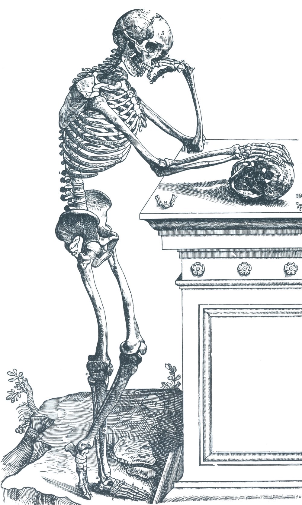 Image of Anatomical Study, illustration from 'De Humani Corporis Fabrica'  by Andreas by Vesalius, Andreas (1514-64) (after)